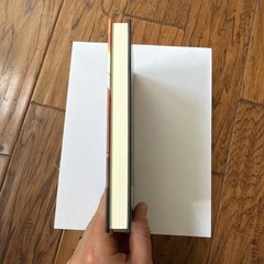 Sanguinius: the Great Angel by Chris Wraight (2022, Hardcover)