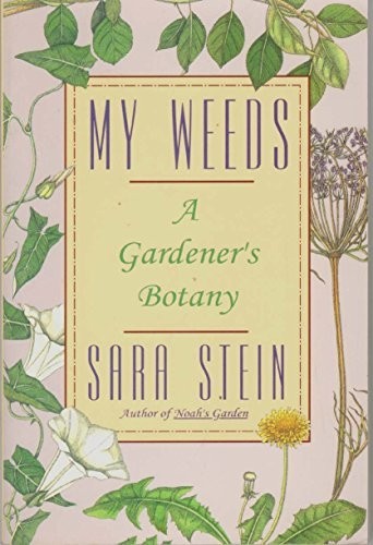My Weeds, Stein, Sara