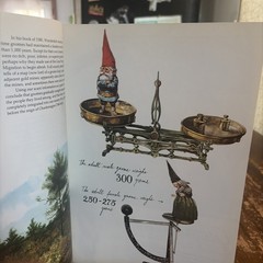 The #1 Bestseller Gnomes Forest Gnome Paperback Book