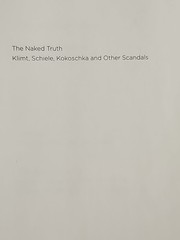 Vienna & Klimt Book Lot – The Naked Truth, A Nervous Splendor, Prestel