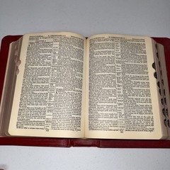 1946 Holy Bible The Good Shepherd Ed Christian Workers Indexed Illustrated EUC