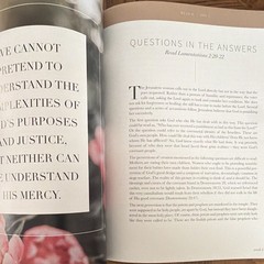 The Daily Grace Co Between Grief and Glory Bible Study Lamentations PB 2020