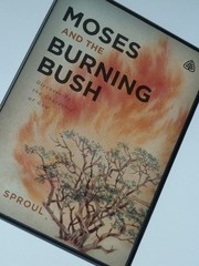 Moses and the Burning Bush by R.C. Sproul DVD 2 disc set Christian bible study!