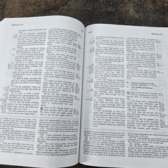 The Ryrie KJV Study Bible Hardcover Red Letter [King James Version]