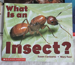 Lot of 14 Scholastic Science Emergent Readers Time to Discover Books Homeschool
