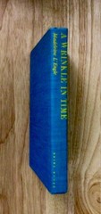 A Wrinkle in Time