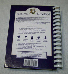 First Presbyterian Church Salisbury NC Cookbook 445 pages 800+ recipes 1998