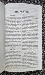 New Testament, Psalms, Gideons Bible, Thinking Of You, 2016, Brand New, PB