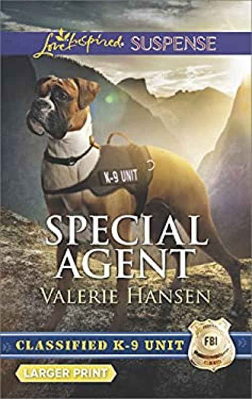 Special Agent Mass Market Paperbound Valerie Hansen
