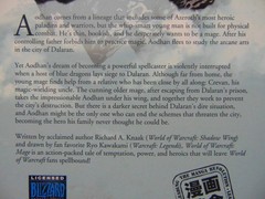 WORLD of WARCRAFT ~ MAGE ~ Graphic Novel by Richard A. Knaak (2010 – 1st Print)