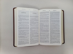 RVR / ESV *Bilingual* English/Spanish Bible La Santa Biblia / The Holy Bible