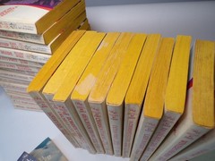 28 Rapture Romance Novels Multiple Titles Authors Numbers Paperback