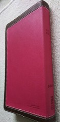 NIV Thinline Bible Elegant 9.4-point Print Size Words of Christ in Red Leatherso