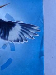Mockingjay (The Hunger Games) – Paperback By Collins, Suzanne – GOOD