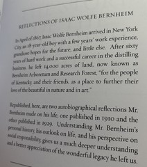 Reflections of Isaac Wolfe Bernheim. Rare NEW UNREAD Copy.