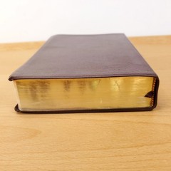 Zondervan The NIV Study Bible 10th Anniversary Edition 1995 Red Letter, Leather