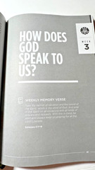 Rooted: Connect With God The Church Your Purpose Hardcover