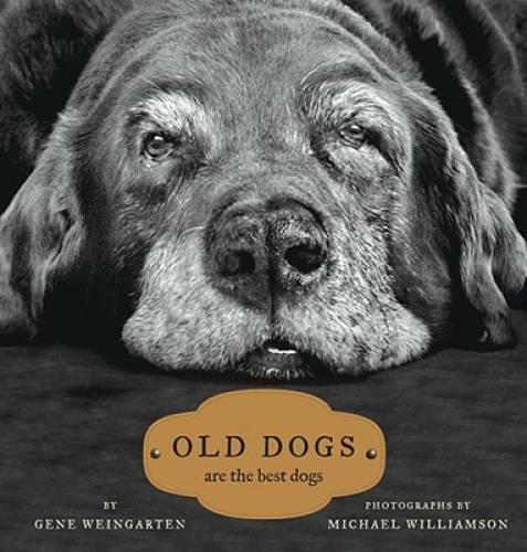 Old Dogs: Are the Best Dogs – Hardcover By Weingarten, Gene – GOOD