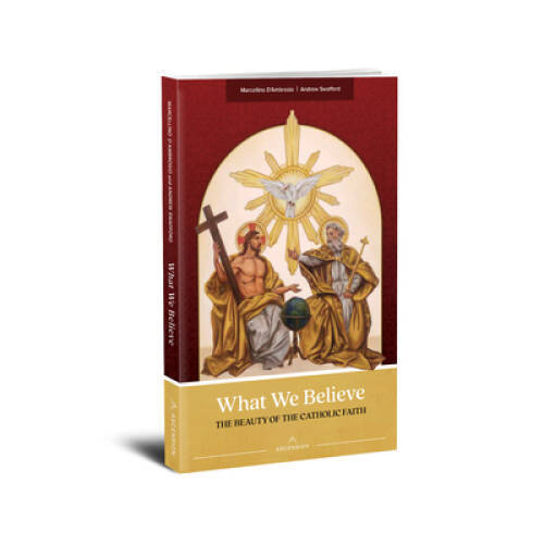 What We Believe: The Beauty of the Catholic Faith – Paperback – VERY GOOD