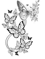 Best Butterfly Coloring Book with Floral Wings 108 Pages 8.5 x 11 for All Ages