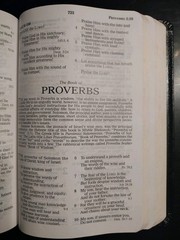 The Holy Bible Prophecy Study Edition. Nelson. 2008. Genuine Leather (8.5″ x 6″)