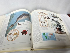 The Great Book Of Birds – 280 pages, 1,000 full color illustrations Ornithology