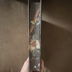 Devney Perry Shield of Sparrows Hardcover First Edition Entangled 2025 Juho Choi