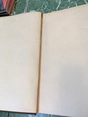 BUREAU OF AMERICAN ETHNOLOGY 25th Annual Report 1903/04 HB Smithsonian