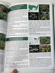 The Forager’s Guide to Wild Foods Book By Nicole Apelian, 2021 North American Ed