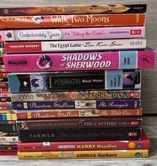 Lot of 39 Grade 3-6 Chapter Books Novels 15lbs / G. Stilton, Beverly Cleary etc.