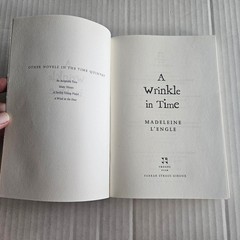 A Wrinkle in Time Madeleine L’Engle Paperback Newbery Medal 9780312367541