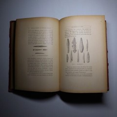N25.4 Misery Size Humanity Primitive 1889 Illustrated Anthropology Mrs. Meunier