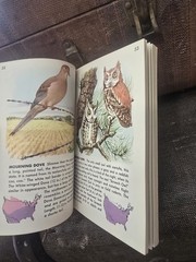 Birds Golden Nature Guide Book 1956 Paperback Vintage Pocket Book American Birds