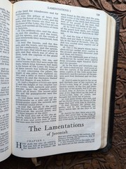 Holy Bible Temple Illustrated Edition King Solomon’s Temple Masonry Holman