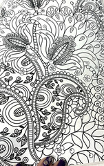 Paisley’s Coloring Book for Artists/Stress Relieving Skyhorse Publishing