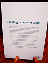 Everyday Theology~Bible Study Book: What You Believe Matters by Mary Wiley Z20