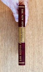 New Sins/Nuevos Pecados by David Byrne 2006 Bilingual Reversible Softcover 2d Ed