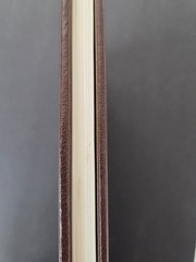 The Dinosaurs William Stout HC Book Signed Artists Proof Numbered 543/1000 1981