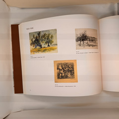 Esteban Vicente. Drawings/Dibujos, 1920-2000. 2010. Alfonso Palacio. Exh. Cat.