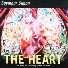 The Heart: All about Our Circulatory System and More! – An Informative Gui…