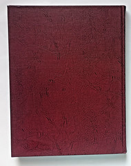 GOLD EDTION Who’s Who in Indian Relics No. 9 – 400 Pages – High Quality Photos