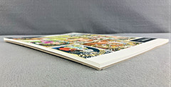 Alphonse Mucha Coloring Book Lot Of 12 Pages Clean Watercolor Pages