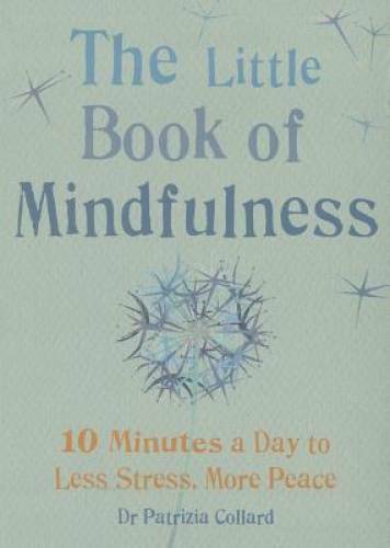 Little Book of Mindfulness: 10 minutes a day to less stress, more pe – VERY GOOD