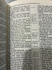 Holy Bible Cameo 16mo PCE Pure Cambridge Edition Antique French Morocco Leather
