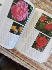 Botanica’s Pocket Roses: Over 1000 pages and 2000 roses listed (2001,Pb)