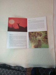 $3.45 – Discover New Zealand, booklet, Wild Animals of New Zealand
