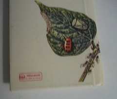 Golden Guide Butterflies Moths Insects Pests lot 2 hardcover ex-lib perma-bound