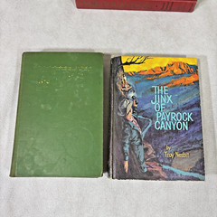 Vintage Books Lot of 16 Pinocchio High Towers Pride’s Castle Jubilee 1930s-1960s