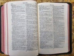 KJV Scofield Reference Bible Marrakesh Persian Morocco Leather VERY GOOD L@@K🌟