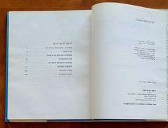 Aircraft by Yehuda Ofer, 1986, Hebrew, 344 pages, like new.